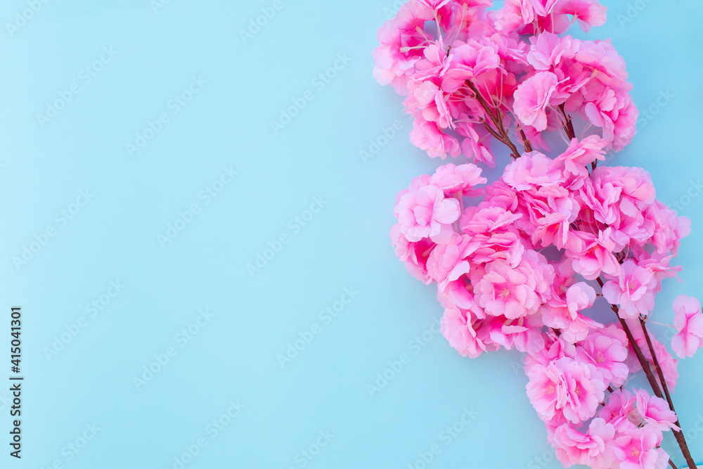 Spring background with pink blossoming cherry tree branch. Sakura flower on light blue background. Spring background with pink blossoming cherry tree branch. Sakura flower on light blue background.