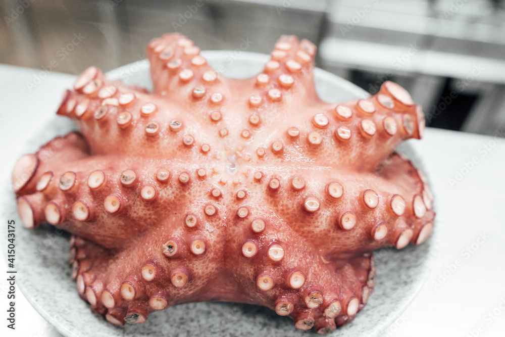 From above appetizing freshly prepared giant Pacific octopus served in white bowl and placed on table in kitchen From above appetizing freshly prepared giant Pacific octopus served in white bowl and placed on table in kitchen