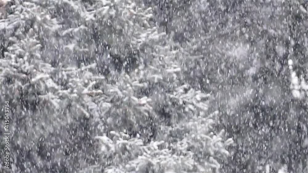 Snowy day outdoor background with natural light Snowy day outdoor background with natural light