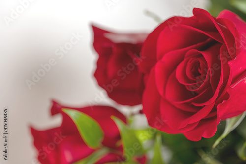 bouquet of red roses on a white table