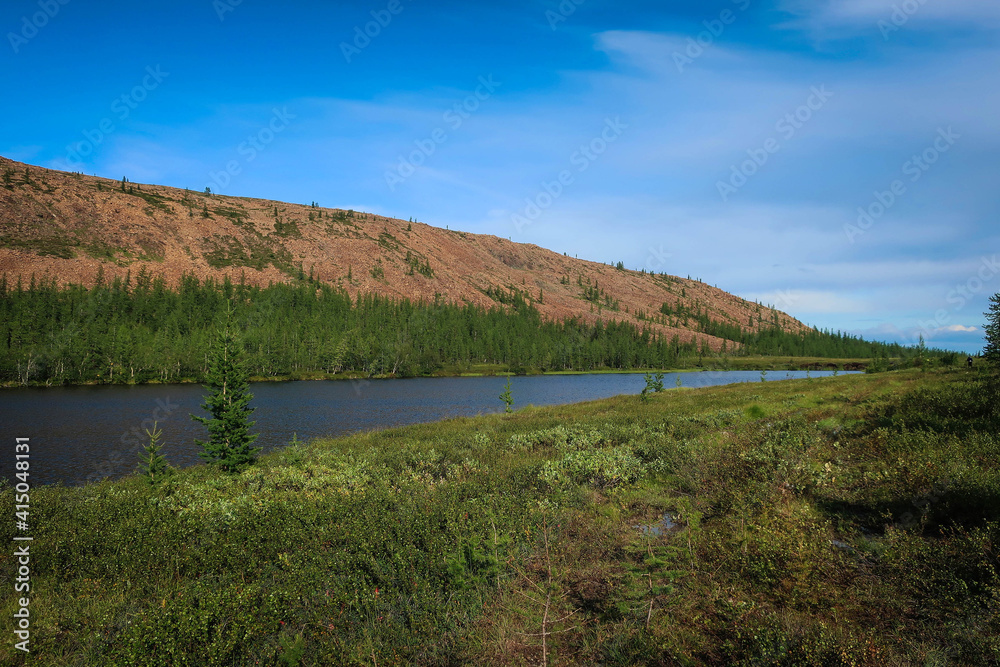 Landscape of Polar Ural mountains by summer near Sob River and Kharp village, Russia