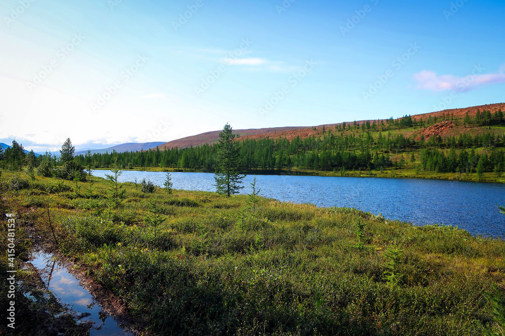 Landscape of Polar Ural mountains by summer near Sob River and Kharp village, Russia