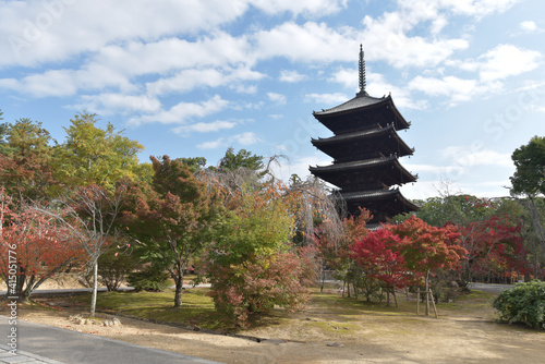 秋の仁和寺　五重塔　京都市