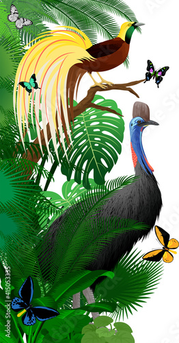 Vector jungle rainforest foliage vertical border illustration with cassowary, Lesser Bird of Paradise and birdwing butterflies