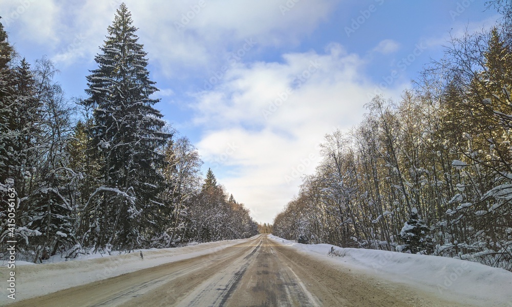 Obraz premium highway with horizon on blue sky and clouds in the daytime at winter with snow covered trees