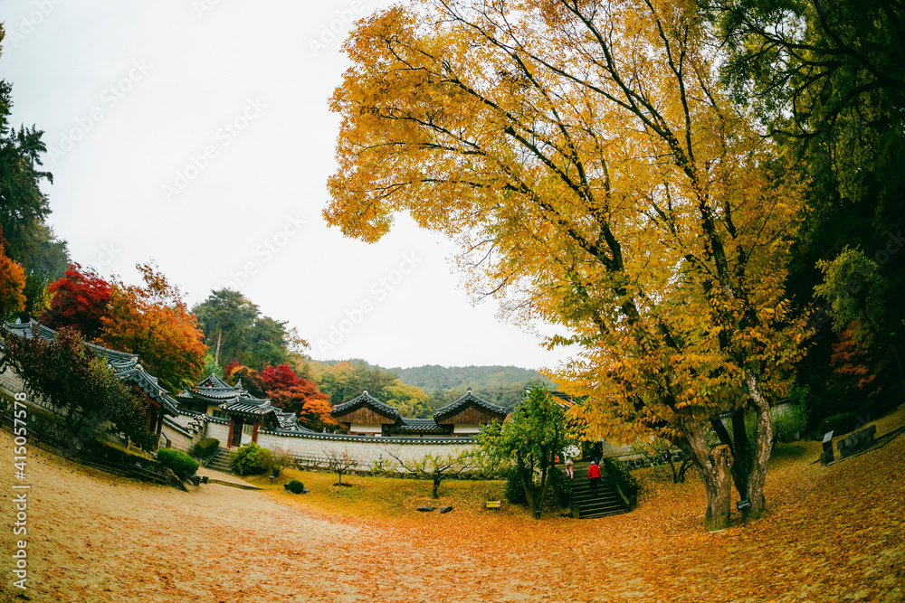 Obraz premium 한국 서원 도산서원 가을