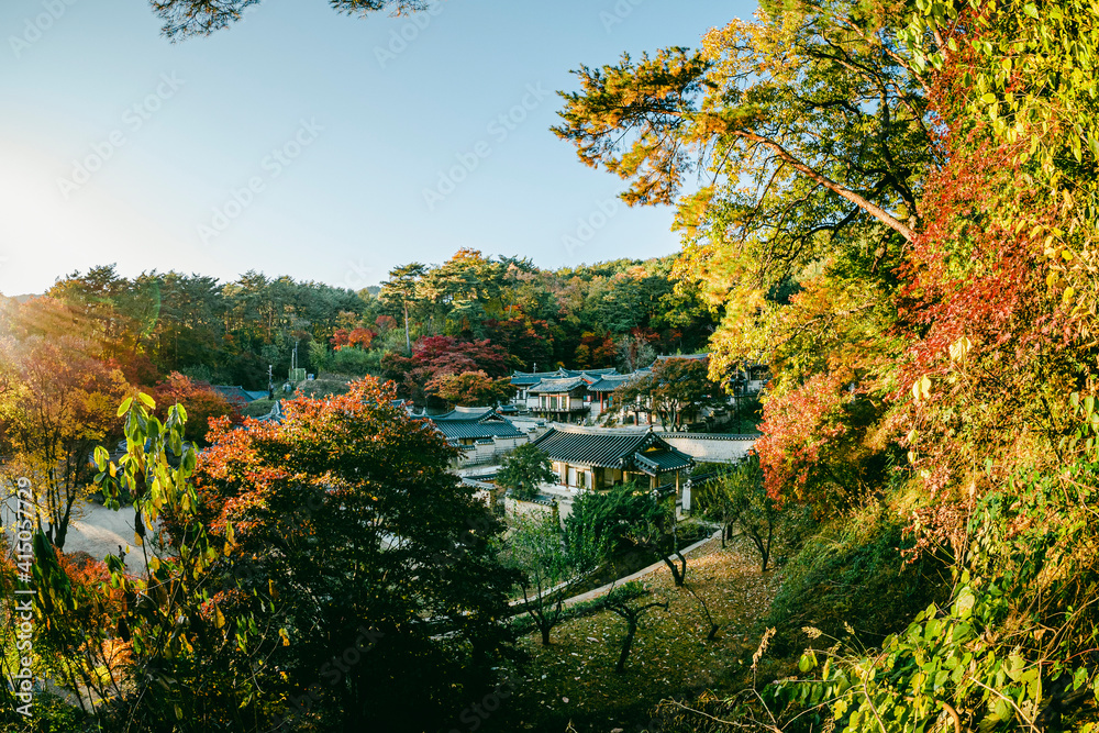 한국 서원 도산서원 가을