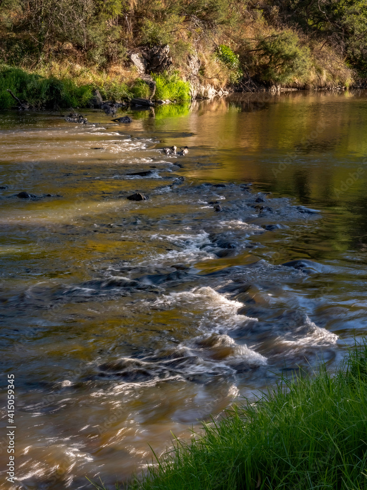 Shallow Water vert Shallow Water vert