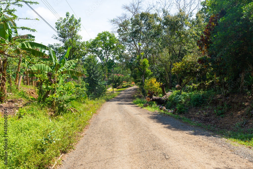 Panama Caimito, dirt road in the jungle