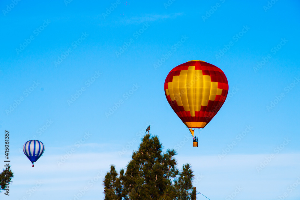 Fototapeta premium hot air balloon