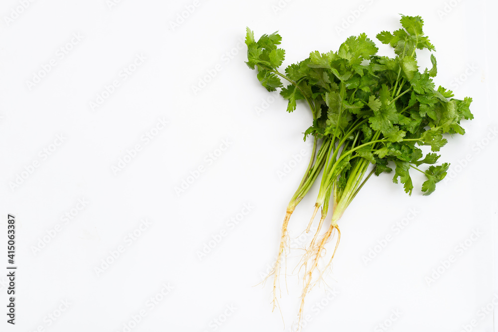 Fresh coriander on white background. Fresh coriander on white background.