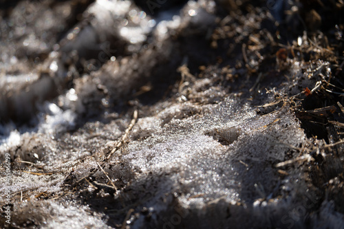 土と枯れ草にできた霜柱