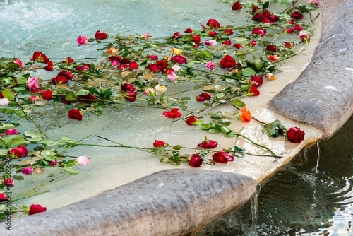 Italy, Rome. Fontana della Barcaccia, by Pietro Bernini (1627-1629). Rose petals floating on water in fountain.