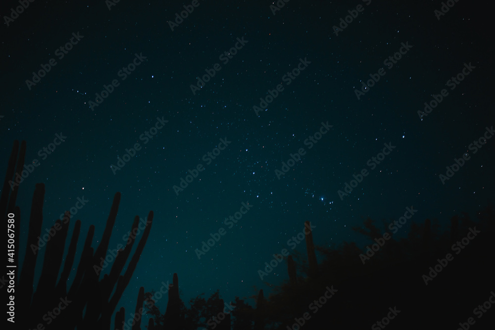 Naklejka premium Noche en el desierto