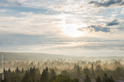 Fototapeta Naklejka Na Ścianę i Meble -  Beautiful sunlight shining through trees on a hazy morning 