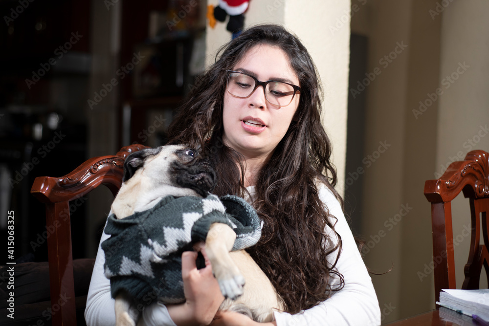 Adorable Pug, pulls the hair of a young woman Adorable Pug, pulls the hair of a young woman