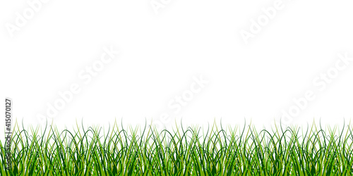 The grass is at the bottom of the picture. Boho green pattern on soft white background. Nature illustration. Stock image.