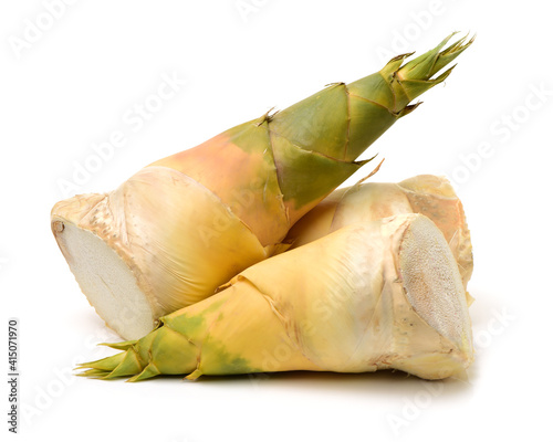 Bamboo shoot on the white background