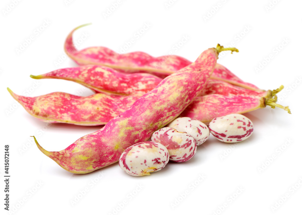 colored kidney bean on white background colored kidney bean on white background