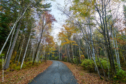 The road on the autumn forests landscape. photo