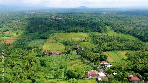 Idyllic lush green landscape of Muntilan village on Java, Indonesia, aerial view photo