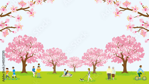 People enjoying cherry blossom viewing