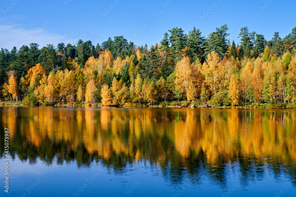 The autumn forests lakeside landscape.