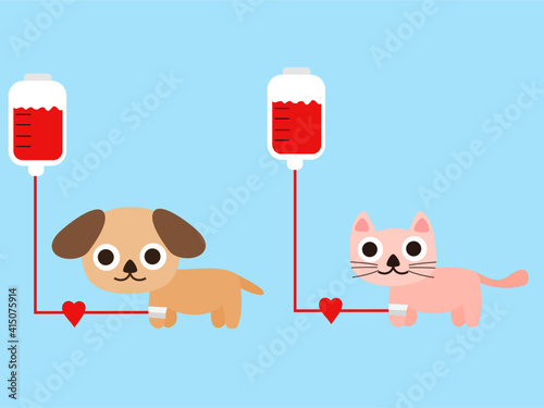 Animal blood donation concept.Dog and cat are in the hospital.Pet in vetrinary.