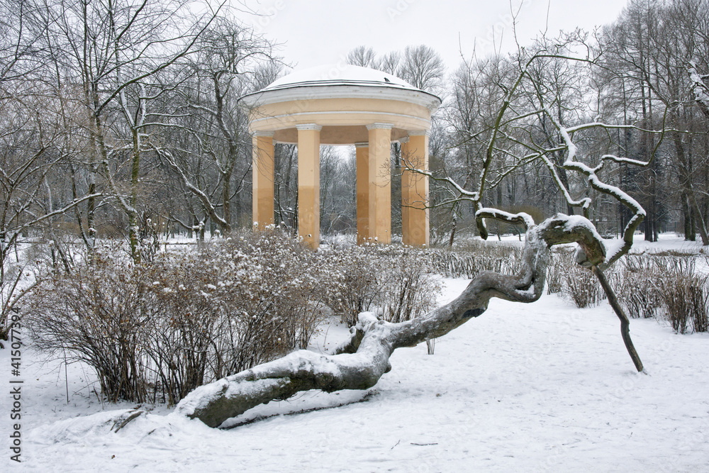 City park in the winter season.