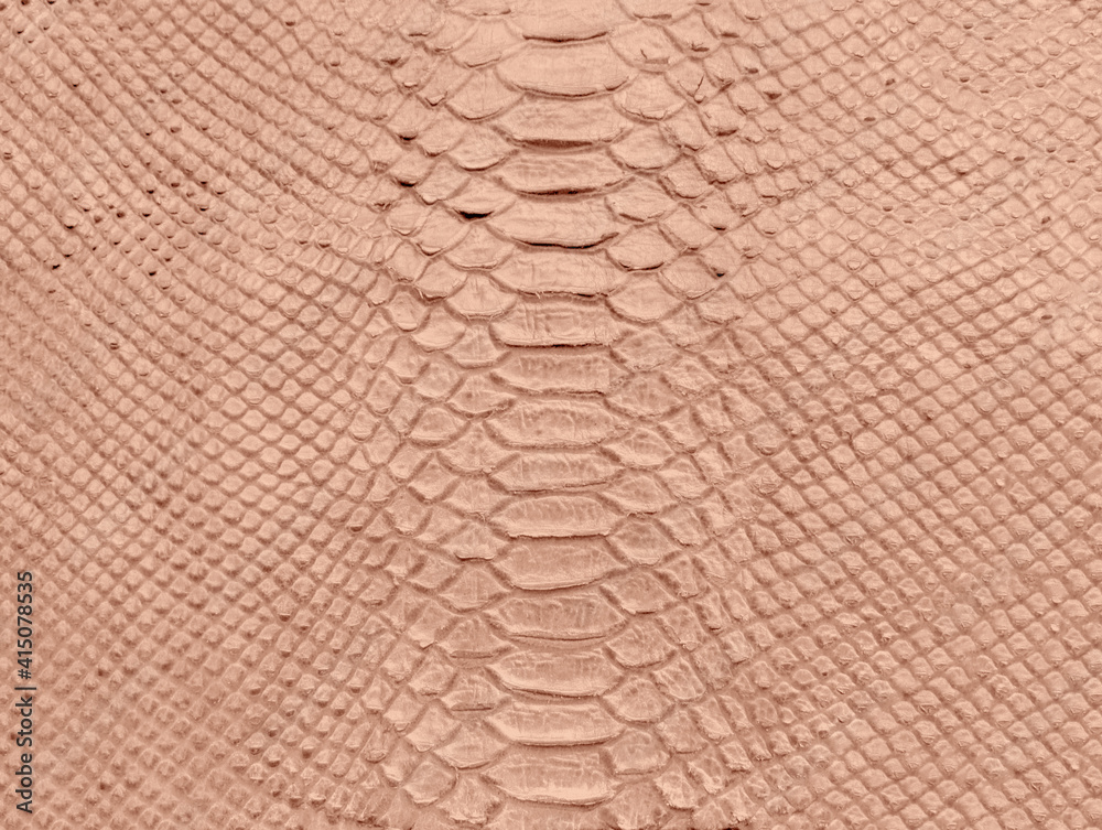leather snake texture, pink python skin pattern background Stock Photo
