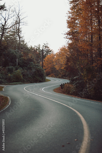 road in autumn forest