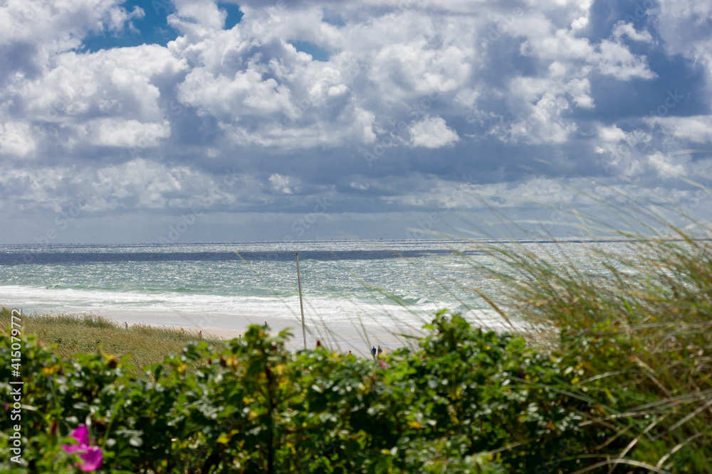 Blick über Düne mit Dünenrose und Dünengras auf Strand und welligem Meer bei bewölktem Sommerhimmel.