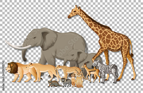 Fototapeta Naklejka Na Ścianę i Meble -  Group of wild African animals on transparent background