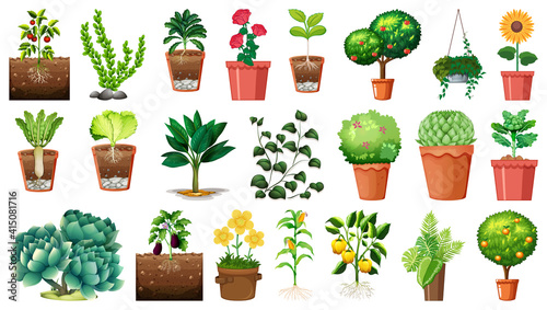Set of different plants in pots isolated on white background