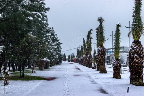 Snowy morning on subtopic boulevard  photo