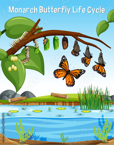 Scene with Monarch Butterfly Life Cycle