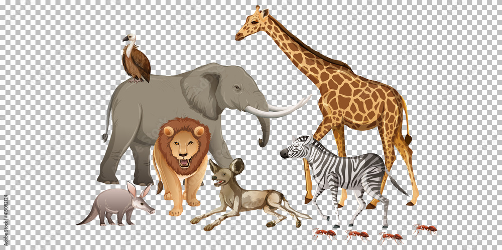 Obraz premium Group of wild african animal on transparent background