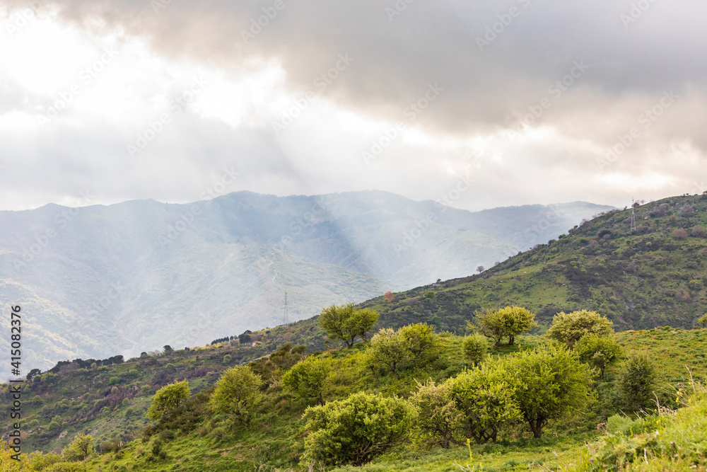 Italy, Sicily, Messina Province, Francavilla di Sicilia. View of the forested hills around Francavilla di Sicilia.
