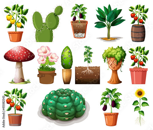 Set of different plants in pots isolated on white background