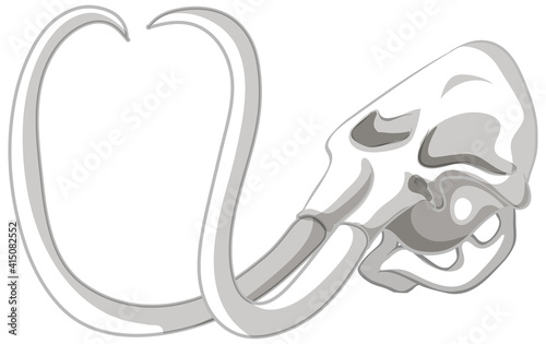 Isolated mammoth skull on white background