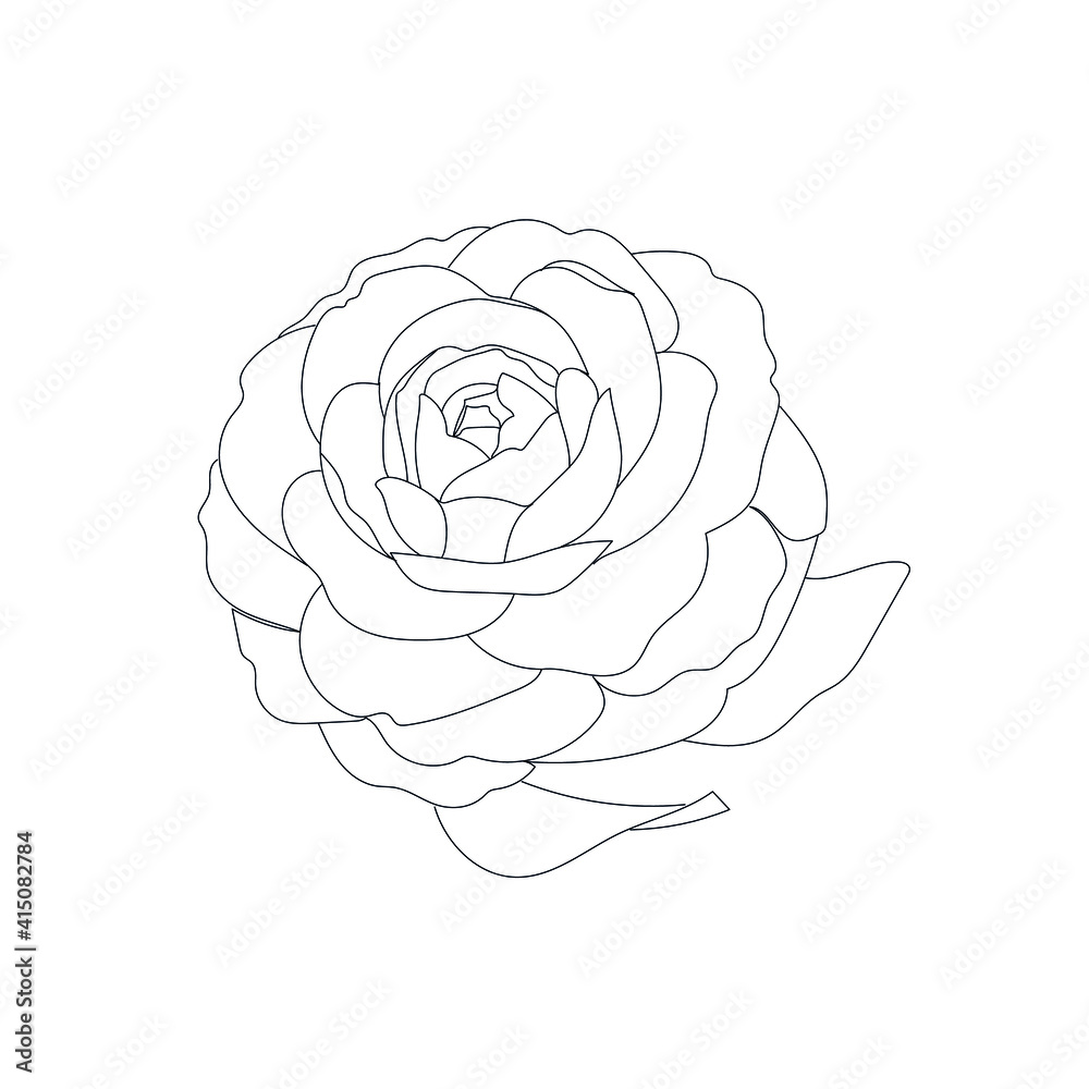 linear silhouette flower. Botanic decoration vector element. Graphic sketch. One line. linear silhouette flower. Botanic decoration vector element. Graphic sketch. One line.