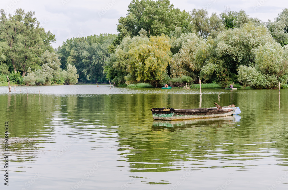 Panorama sleeve of the Danube River near Novi Sad 