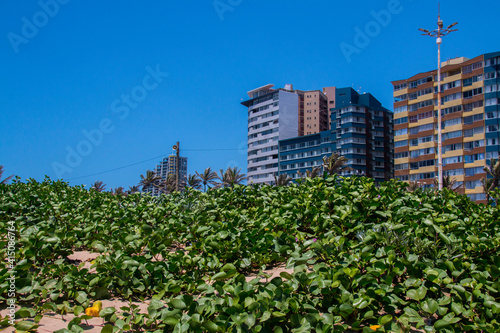Dune Covered with Vegetation and Buildings in Background