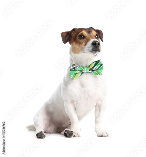 Cute dog with green bowtie on white background. St. Patrick's Day celebration © Pixel-Shot