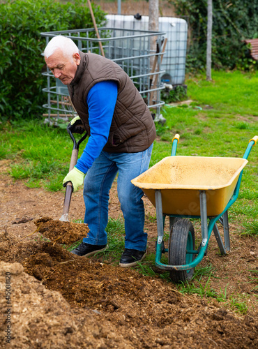 Mature man scattering peat shovel on garden beds. High quality photo