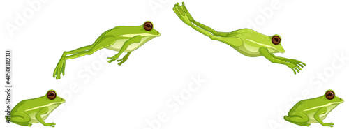 Green tree frog jumping sequence isolated on white background