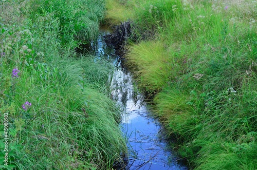 drainage ditch canal in forest
