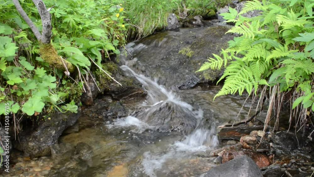 clean and clear serene mountain stream in summer wilderness clean and clear serene mountain stream in summer wilderness