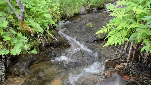 clean and clear serene mountain stream in summer wilderness photo