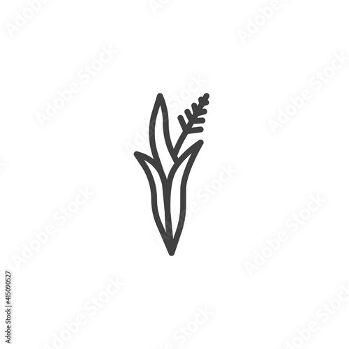Lavender herb line icon. linear style sign for mobile concept and web design. Lavender flower outline vector icon. Symbol, logo illustration. Vector graphics